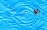 Perl Tutorial - 2