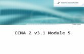 CCNA  2  v3. 1  Module 5