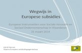 Wegwijs in  Europese subsidies