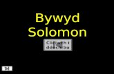 Bywyd  Solomon