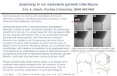 Zooming in on  nanowire  growth interfaces Eric A.  Stach , Purdue University, DMR 0907483