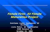 Fistula First:  AV Fistula Maturation Project
