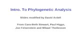 Intro. To Phylogenetic Analysis