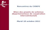 Rencontres du CIDEFE Bilan des projets de schémas départementaux de coopération intercommunale
