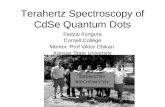 Terahertz Spectroscopy of CdSe Quantum Dots