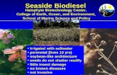 Seaside Biodiesel