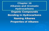 Chapter 16 Alkanes and Aromatic Hydrocarbons