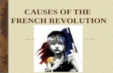 CAUSES OF THE  FRENCH REVOLUTION