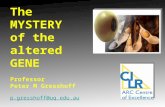 The MYSTERY of the altered  GENE Professor  Peter M Gresshoff p.gresshoff@uq.au