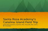 Santa Rosa Academy ’ s Catalina Island Field Trip