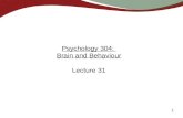 Psychology 304:  Brain and Behaviour Lecture 31