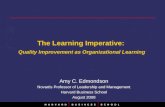 The Learning Imperative:  Quality Improvement as Organizational Learning