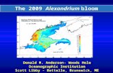 The 2009  Alexandrium  bloom