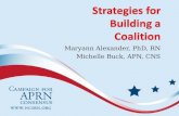 Strategies for Building a Coalition