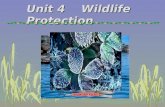 Unit 4    Wildlife Protection