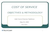 COST OF SERVICE  OBJECTIVES & METHODOLOGY