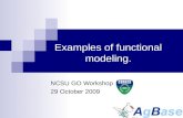 Examples of functional modeling.