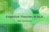 Cognitive Theories in SLA