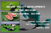 RECENT POLICY DEVELOPMENTS  IN THE MEXICAN  AGRICULTURAL SECTOR Andrés Casco Flores