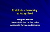 Prebiotic chemistry: a fuzzy field