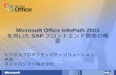 Microsoft Office InfoPath 2003 を用いた SAP フロントエンド開発の概要