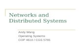 Networks and  Distributed Systems