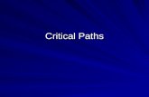 Critical Paths