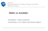 fMRI in NAMIC