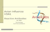 Avian Influenza H5N1 Reactive Antibodies