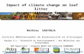 Impact of  climate  change on  leaf  litter  decomposition in french Mediterranean  Region