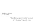 Geodaten prozessieren mit WPS  (Web Processing Service)