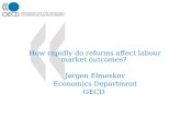 How rapidly do reforms affect labour market outcomes?  Jørgen Elmeskov Economics Department OECD