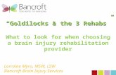 “Goldilocks & the 3 Rehabs”  What to look for when choosing a brain injury rehabilitation provider