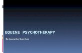 Equine Psychotherapy