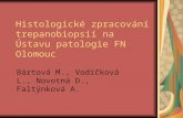 Histologické zpracování trepanobiopsií na Ústavu patologie FN Olomouc