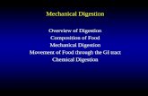 Mechanical Digestion
