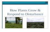 How Plants Grow & Respond to Disturbance