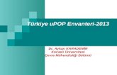 Türkiye uPOP Envanteri-2013 Dr. Aykan KARADEMİR Kocaeli Üniversitesi Çevre Mühendisliği Bölümü