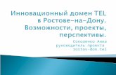 Инновационный домен  TEL  в Ростове-на-Дону. Возможности, проекты, перспективы.