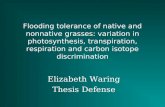 Elizabeth Waring Thesis Defense