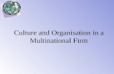 Culture and Organisation in a Multinational Firm