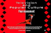 Television  and  Popular Culture