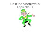 Liam the Mischievous Leprechaun