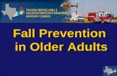 Fall Prevention  in Older Adults