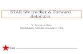 STAR Stv tracker & Forward detectors