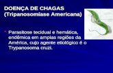 DOENÇA DE CHAGAS (Tripanosomíase Americana)