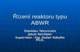 Řízení reaktoru typu ABWR