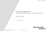 Cockpit Weather Friends and Partners of Aviation Weather