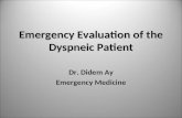 Emergency Evaluation  of  the  Dyspneic  Patient