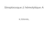 Streptocoque    hémolytique A K.RAHAL